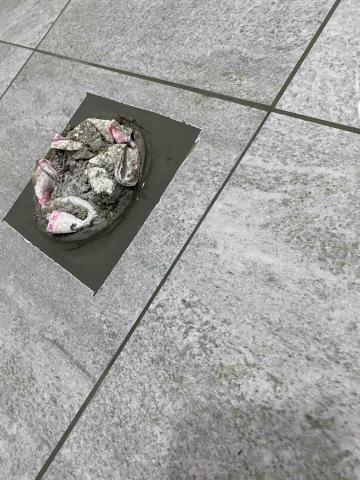 虹力工程 -  虹力工程 -