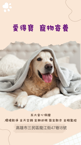 毛小窩寵物旅館-免費專車接送-合法經營（寵字營登皆有） - 