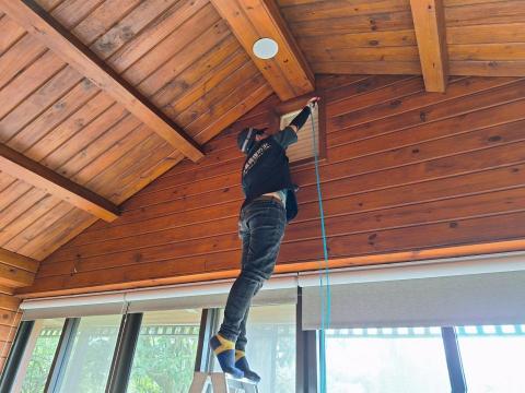 洋嘉病媒防治有限公司 - 白蟻防治