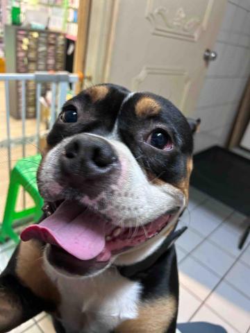 吳小姐 - 朋友的惡霸住宿12天