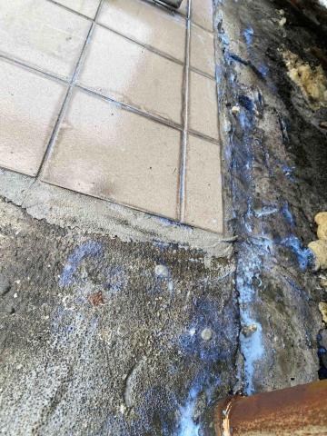 虹力工程 -  虹力工程 -