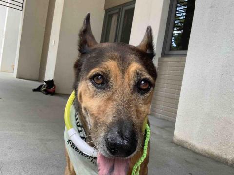 提供線上家教服務的專家利爾有限公司