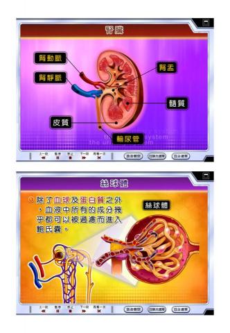 潘翁欣眉 - 高中生物-動畫截圖