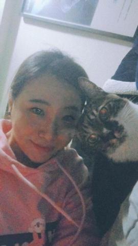 雪寶 - 貓保姆到府服務?過年期間照顧15天的好孩子