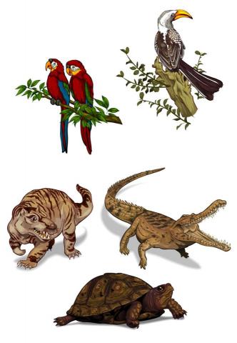 潘翁欣眉 - 高中生物-物件繪製