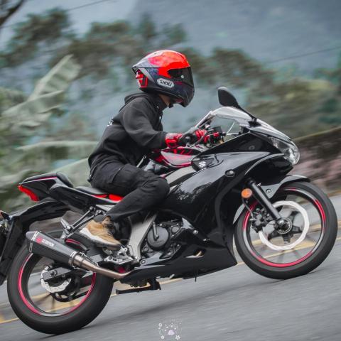 提供寄養犬服務的專家吳鉦淯