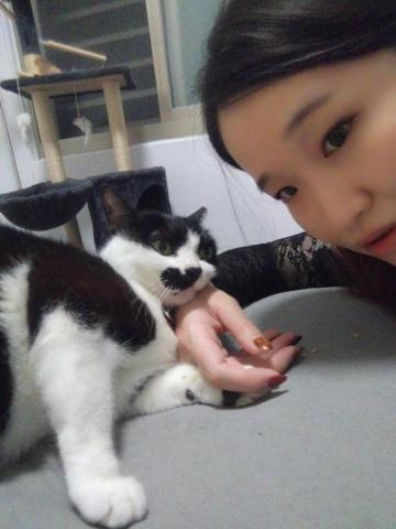 雪寶 - 貓保姆到府服務?擄獲撒嬌貓貓一枚