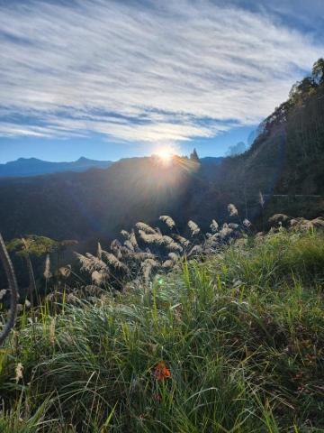 PLUTO - 阿里山日出