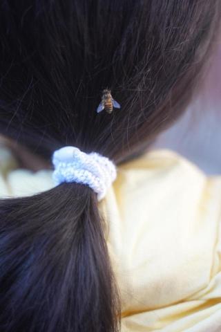 提供高雄衝浪教學服務的專家鄭佳昀