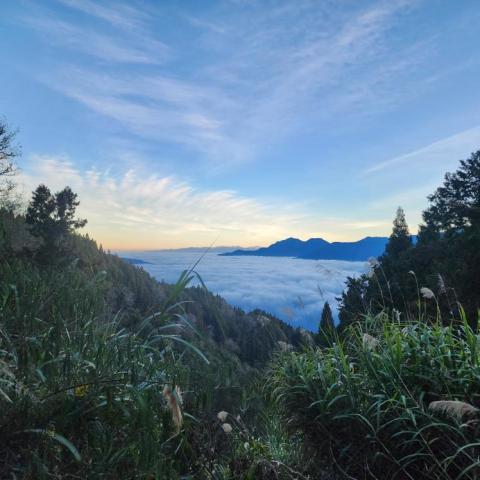 PLUTO - 阿里山日落雲海