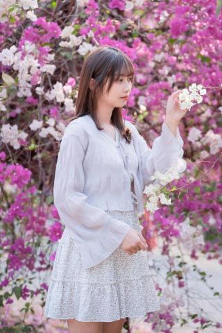 莊靜霓 - 橋頭糖廠的花很漂亮
開的很茂盛