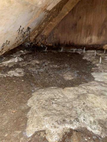 虹力工程 -  虹力工程 -