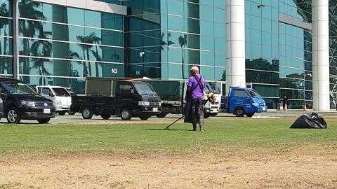 多利景觀園藝 - 高雄展覽錧草皮修剪