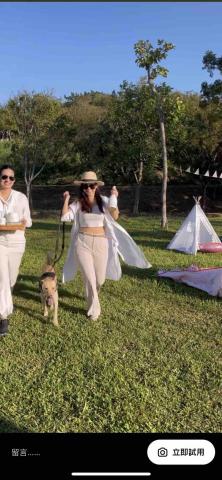 提供寵物散步服務的專家FiFi