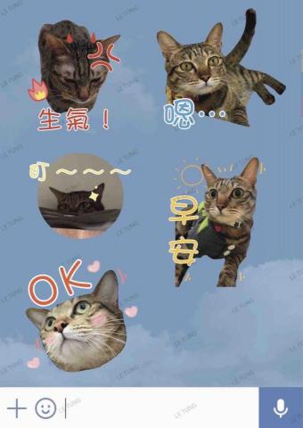 拾夢設計工作室 -  拾夢設計工作室 -