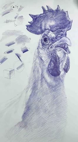 黃煜翰 - 動物毛流質感教學示範-原子筆 黃煜翰 - 動物毛流質感教學示範-原子筆
