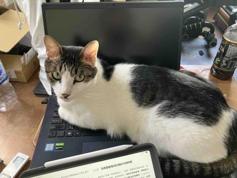 提供高中物理服務的專家yao-stung lee