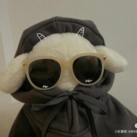 提供英翻中服務的專家Anita