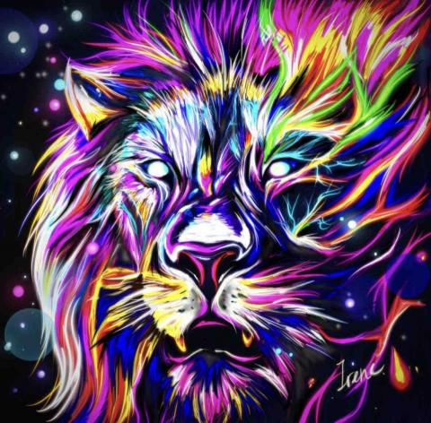 包子個人工作室 -  包子個人工作室 -