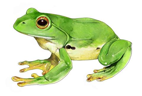 曾煥勤 - 電腦繪圖