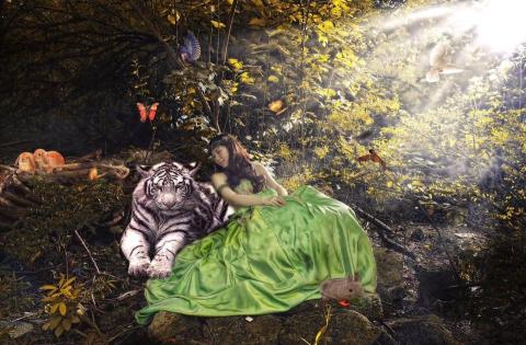 富彩容-造型靓扮美學中心..附設輕 spa 美妍 -  富彩容-造型靓扮美學中心..附設輕 spa 美妍 -