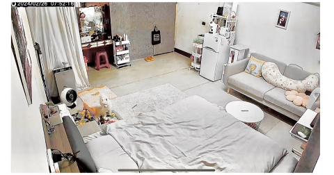 台中海線地區寵物保姆寄宿日托 - 寄宿環境