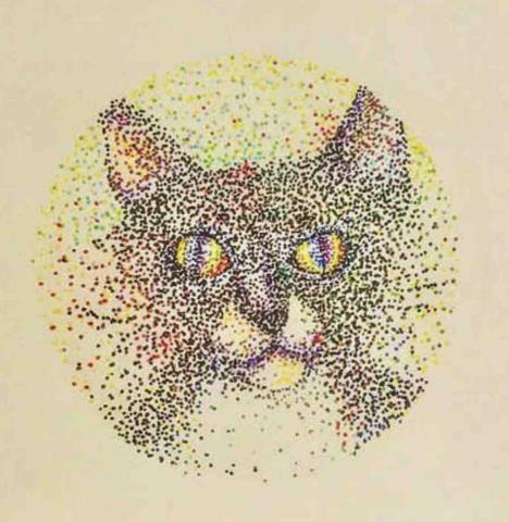 提供救回檔案服務的專家imevamyt