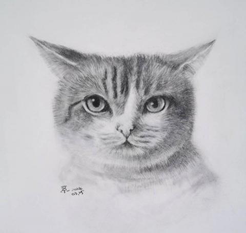 小星人俱樂部 - #鉛筆素描 #寵物似顏繪 小星人俱樂部 - #鉛筆素描 #寵物似顏繪