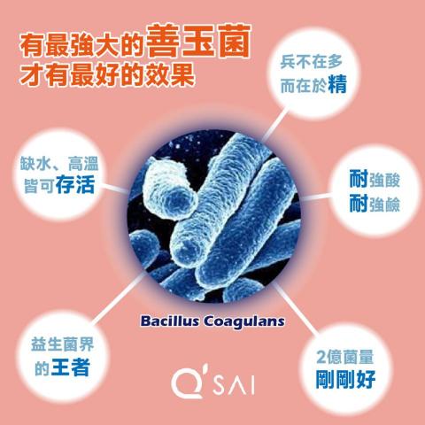 小星人俱樂部 - MOMO商城商品圖 小星人俱樂部 - MOMO商城商品圖