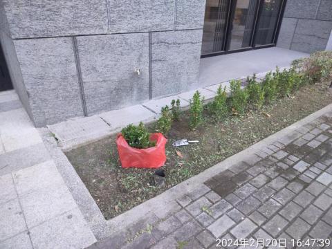 喜悅園藝企業行 - 補植作業