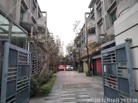 喜悅園藝企業行 - 修樹作業完成後