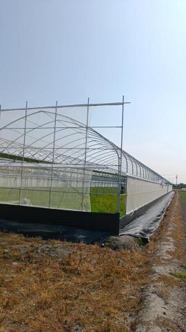 浩睿溫室工程行 - 