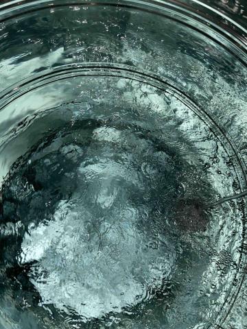 溢鴻水電工程 - 