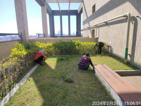 喜悅園藝企業行 - 手工除草