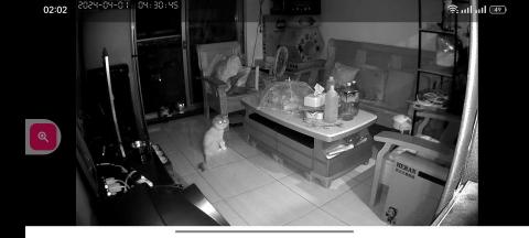 Wu Chen Jui - 傳統攝影機夜間