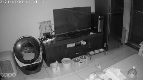 Wu Chen Jui - 2.5k高畫質夜間影像