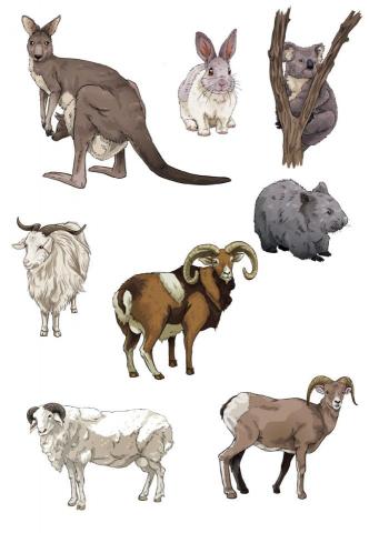 深夜小編 - 高中生物-物件繪製