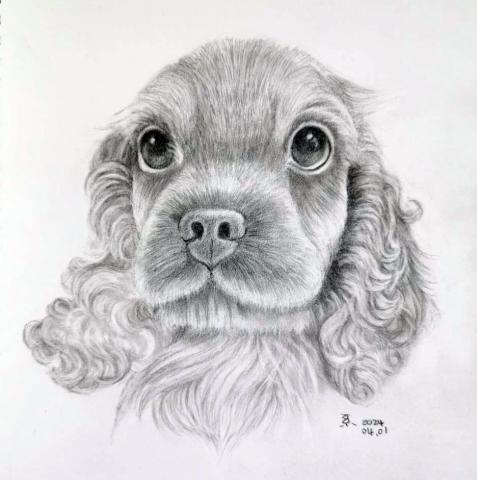 小星人俱樂部 - #鉛筆素描 #寵物似顏繪 小星人俱樂部 - #鉛筆素描 #寵物似顏繪