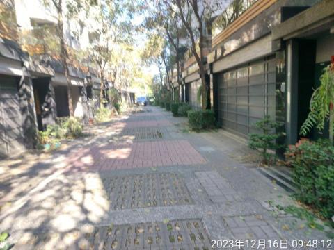 喜悅園藝企業行 - 修樹作業前