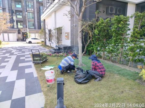 喜悅園藝企業行 - 種草皮
