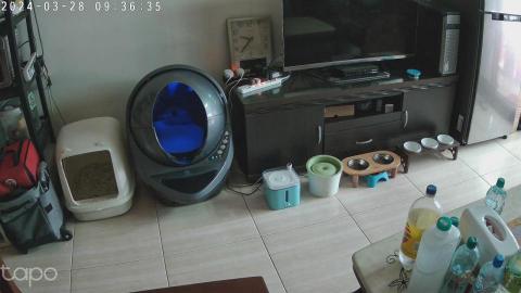 Wu Chen Jui - 2.5k高畫質觀看寵物日常情況