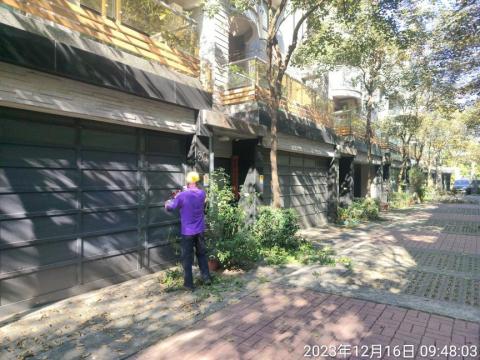 喜悅園藝企業行 - 修樹作業