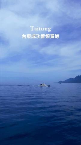 Phoebe - 景點｜短影片
https://youtube.com/shorts/cAYkuRJPNgE