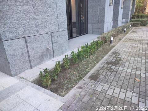 喜悅園藝企業行 - 補植作業完成後
