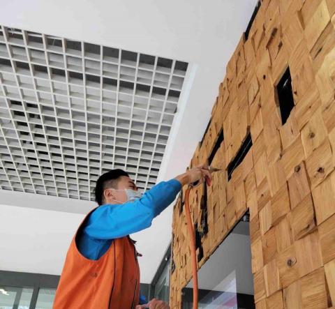 日心環保防治 - 白蟻防治處理