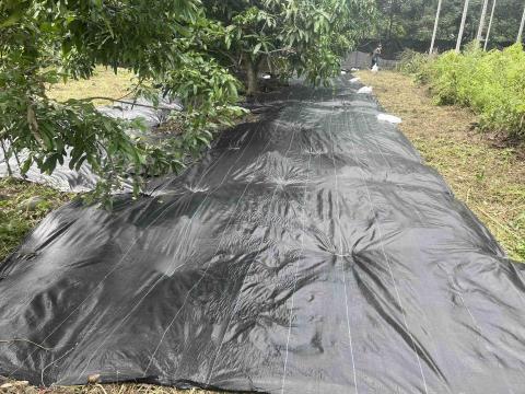 江山園藝景觀企業行 - 