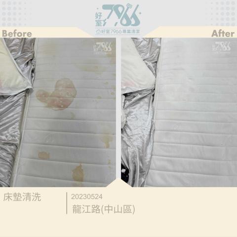 好室 7966 專業清潔 -  好室 7966 專業清潔 -