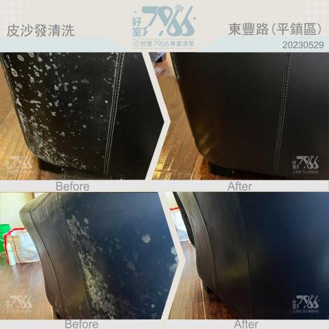 好室 7966 專業清潔 -  好室 7966 專業清潔 -