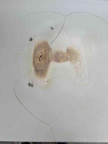 婕紘企業社 -  婕紘企業社 -