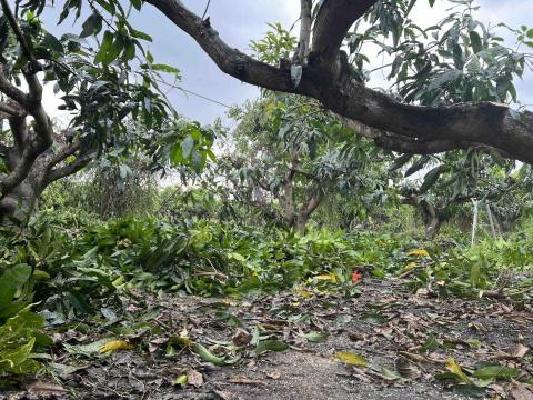 江山園藝景觀企業行 - 